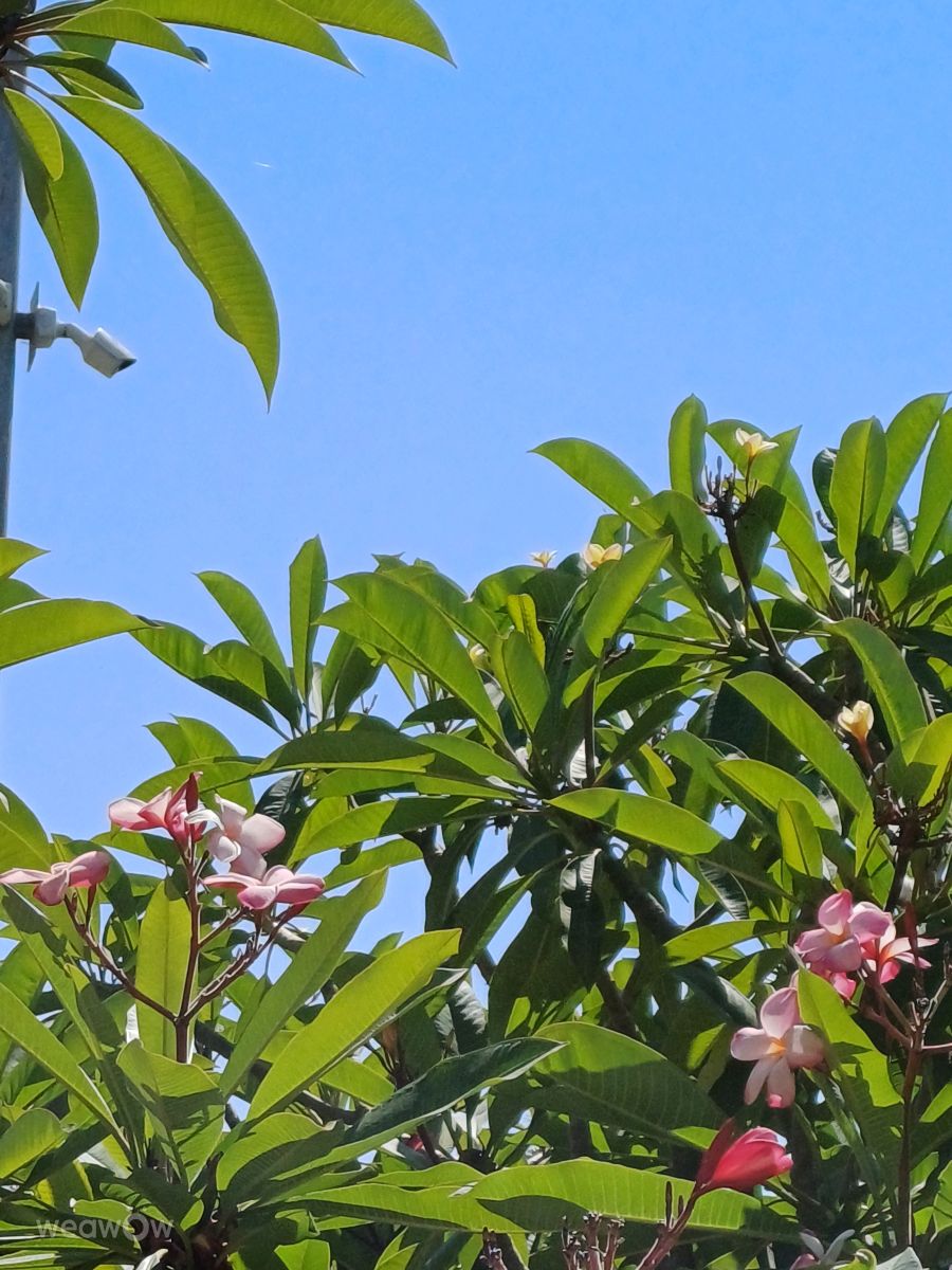 Weather Photos in Holon. Weather forecasts with beautiful photos by Zaza