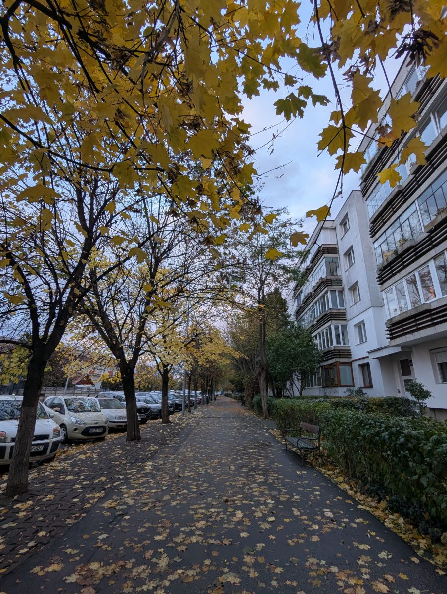 Фотографии Погоды в Тыргу-Муреш. Прогнозы погоды с чудесными фотографиями, сделанными Florin Cioban