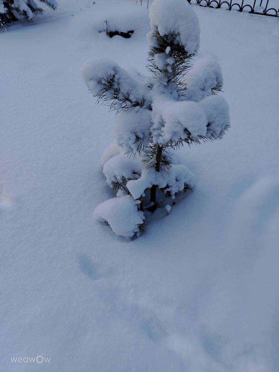 Фотографии Погоды в Тульская Область. Прогнозы погоды с чудесными фотографиями, сделанными Svetlana3