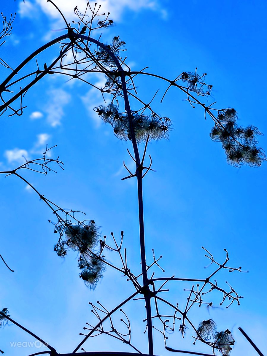 Photographer Seni, Weather Photos in Velbert - Weawow