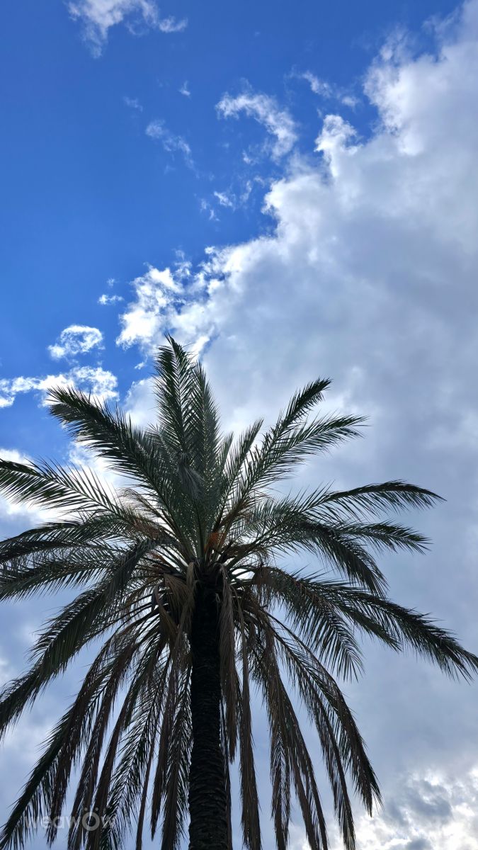 アンタルヤの天気写真. Traveling-Pumaの美しい写真による天気予報