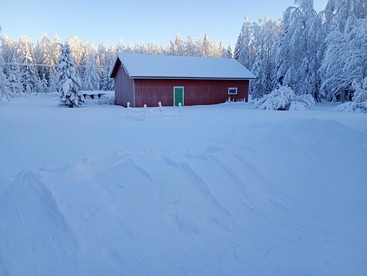 Fotos sobre el clima en Ostrobotnia del Norte. Pronósticos del tiempo con hermosas fotos de Juki