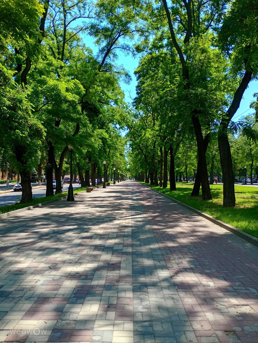 Pronósticos del tiempo con hermosas fotos de Ksana_K