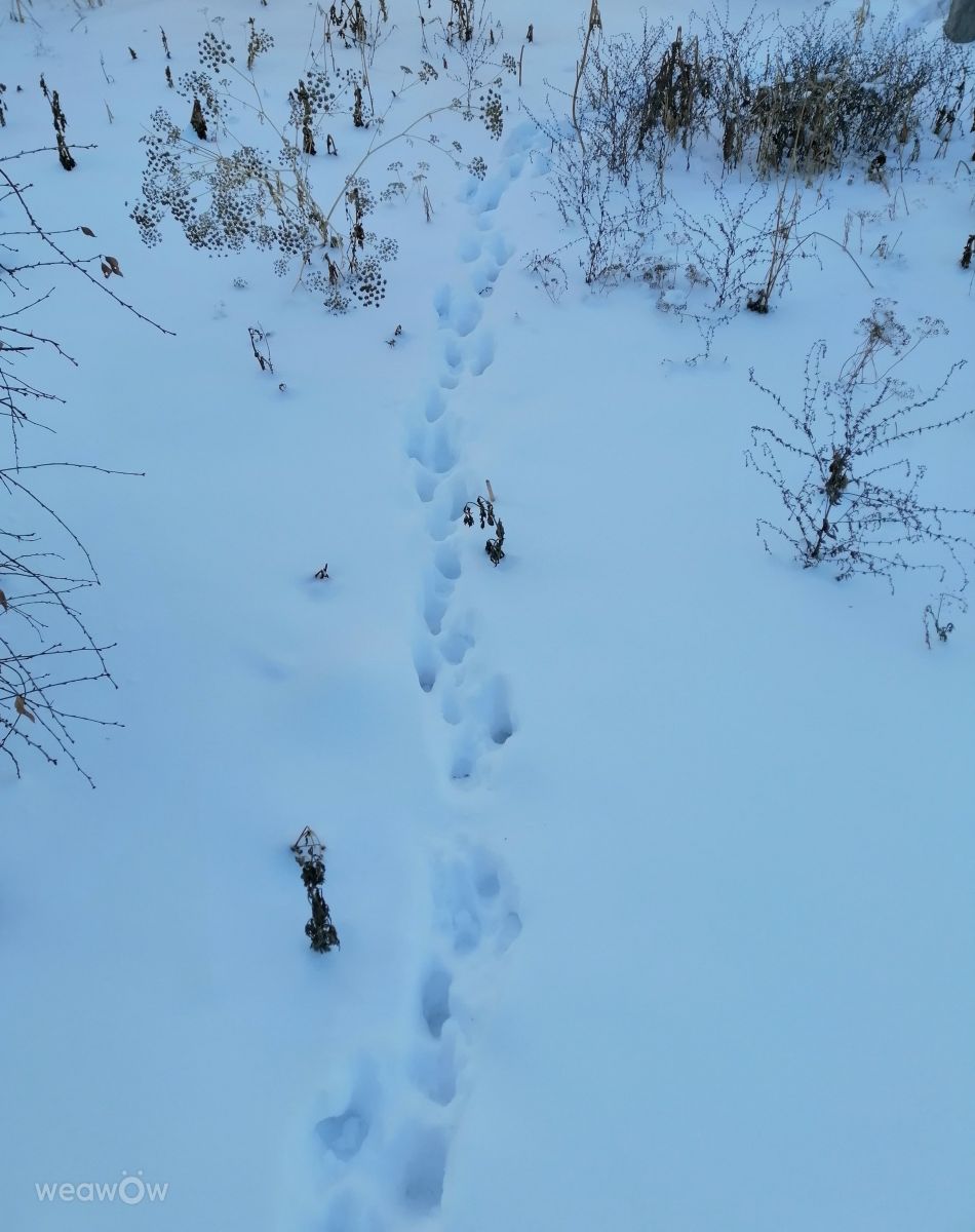 Фотографии Погоды в Омск. Прогнозы погоды с чудесными фотографиями, сделанными Sana_Sorg
