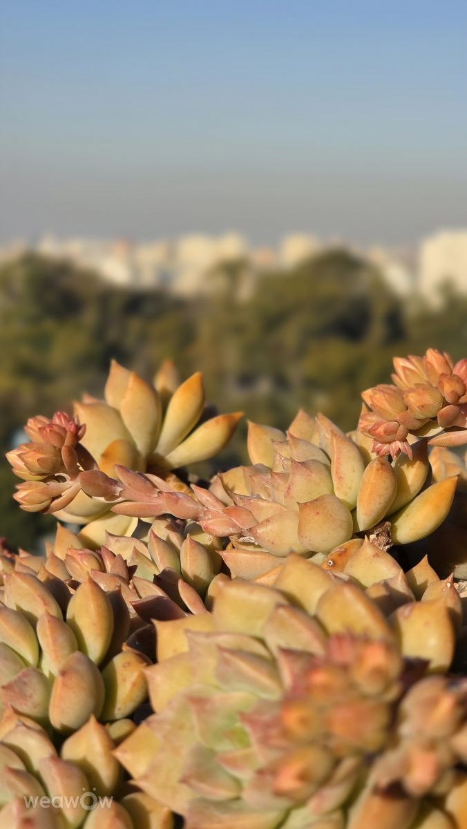 Wetter Photos Buenos Aires. Wettervorhersagen mit schönen Fotos von elojodero