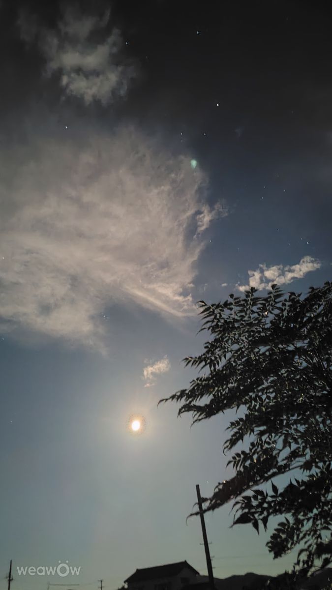 Фотограф umemui, Фотографии Погоды в Хонсю - Weawow