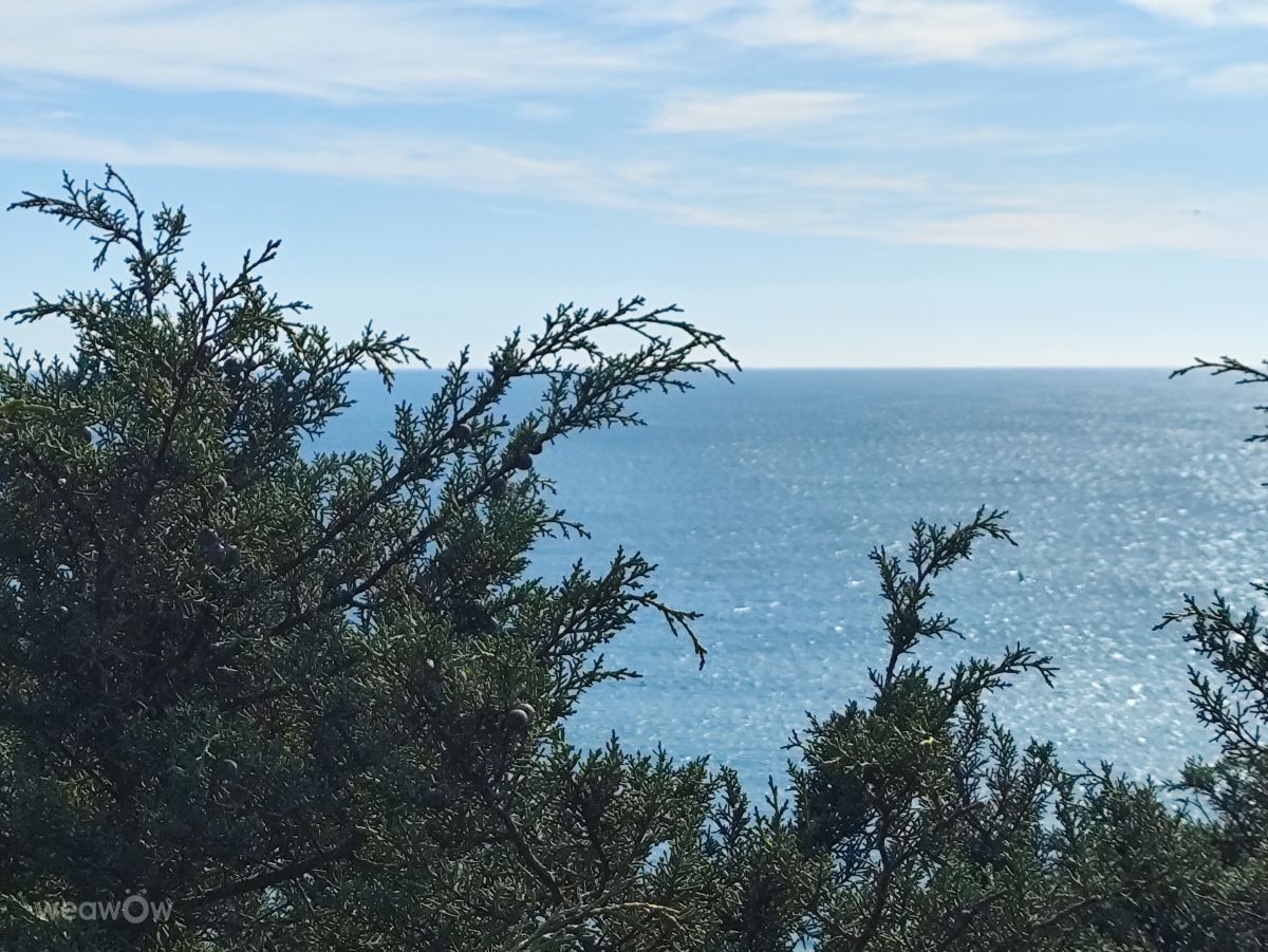 Фотографии Погоды в Benagil. Прогнозы погоды с чудесными фотографиями, сделанными Brtd