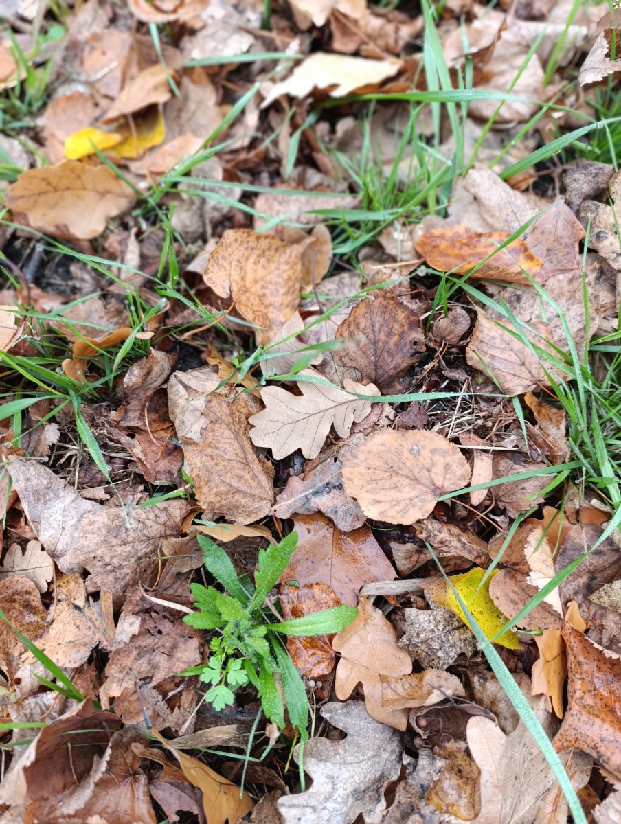 Luhanskの天気写真. Анжの美しい写真による天気予報