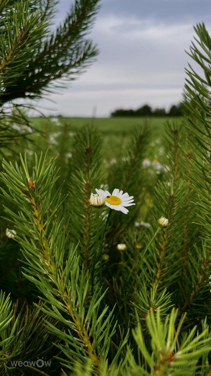 Weather Photos in Minsk. Weather forecasts with beautiful photos by Stassy