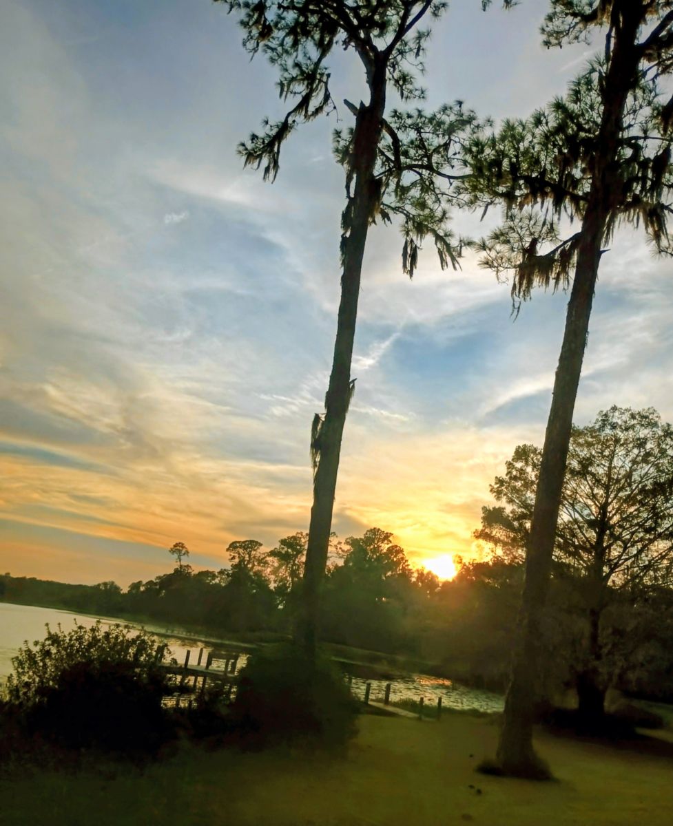 Weather Photos in Florida. Weather forecasts with beautiful photos by Christinam01