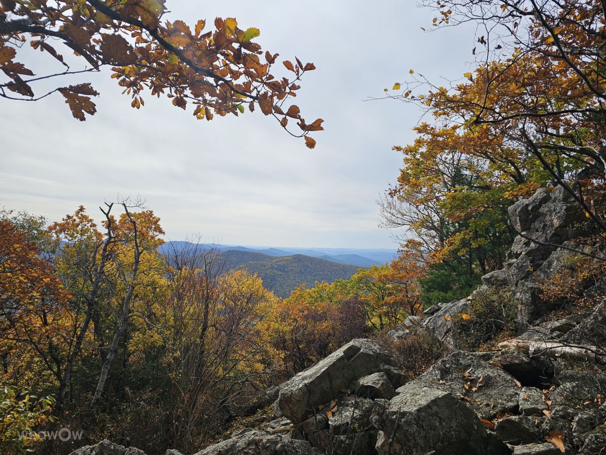 Primorye的天气照片. 天气预报，带ImPe精美的照片