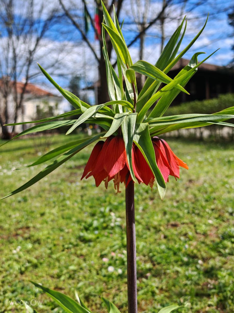 Elenaの天気写真. Boris Daskalovの美しい写真による天気予報