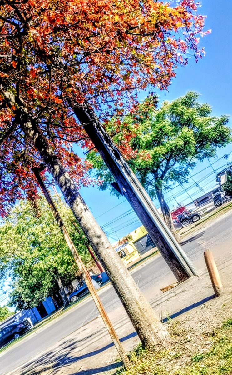 Photos météo à Santa Fe. Prévisions météo avec de superbes photos de alma_en_foto