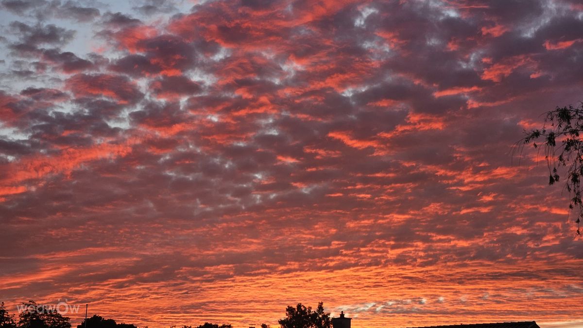Weather forecasts with beautiful photos by Slyde