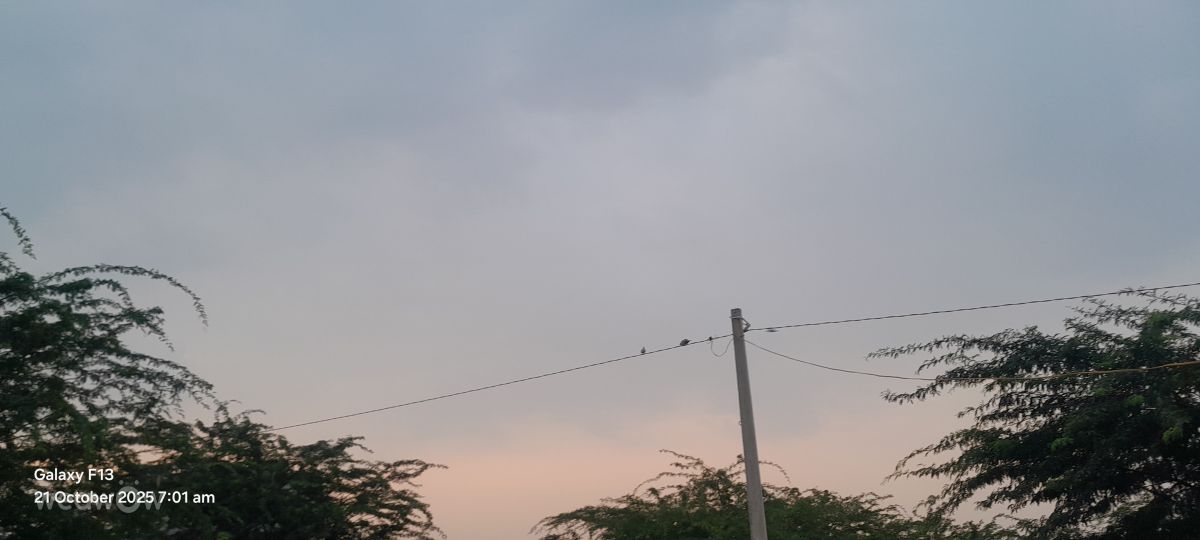 Фотографии Погоды в Раджастхан. Прогнозы погоды с чудесными фотографиями, сделанными Rupa Ram Bawari