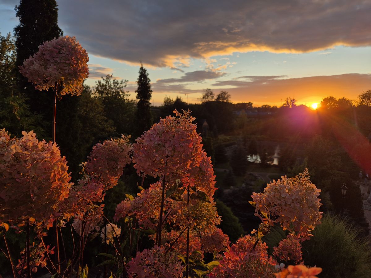 Фотографии Погоды в Сохачев. Прогнозы погоды с чудесными фотографиями, сделанными Krolololyk