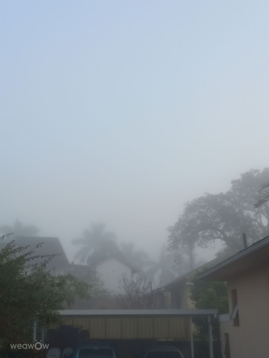 Weather Photos in South Africa. Weather forecasts with beautiful photos by Mirelle