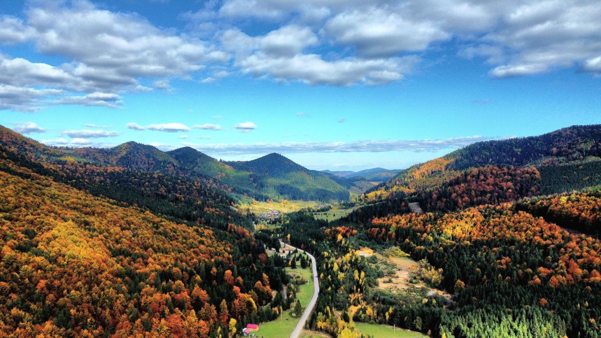 Photographer Camelyon, Weather Photos in Oraş Broşteni - Weawow