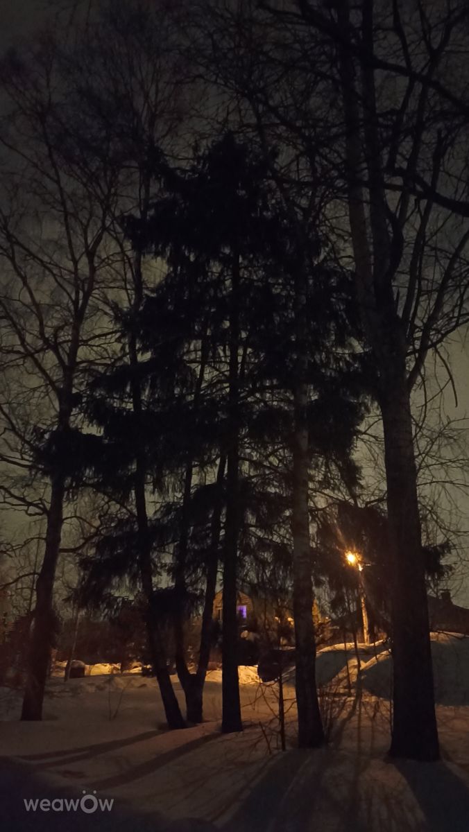 Weather Photos in Moscow Oblast. Weather forecasts with beautiful photos by Ратибор