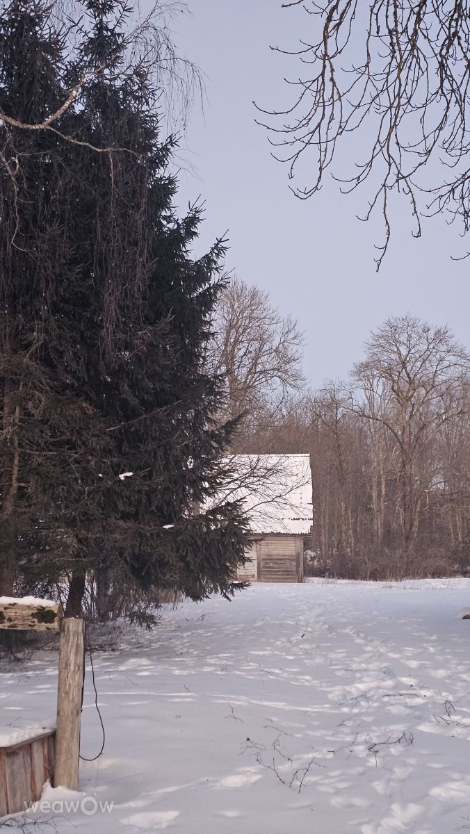 Fotos do tempo em Ogre. Previsões do tempo com lindas fotos de Sandra Bokisha