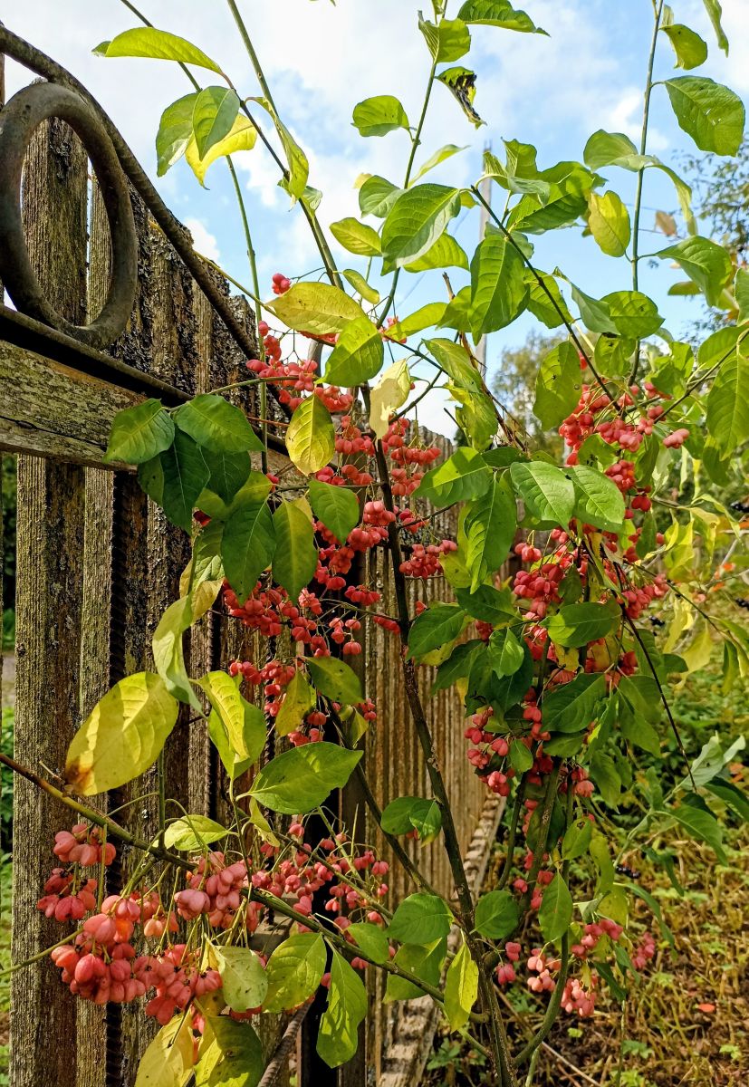 Photos météo à Moscow Oblast. Prévisions météo avec de superbes photos de 19Larisa46