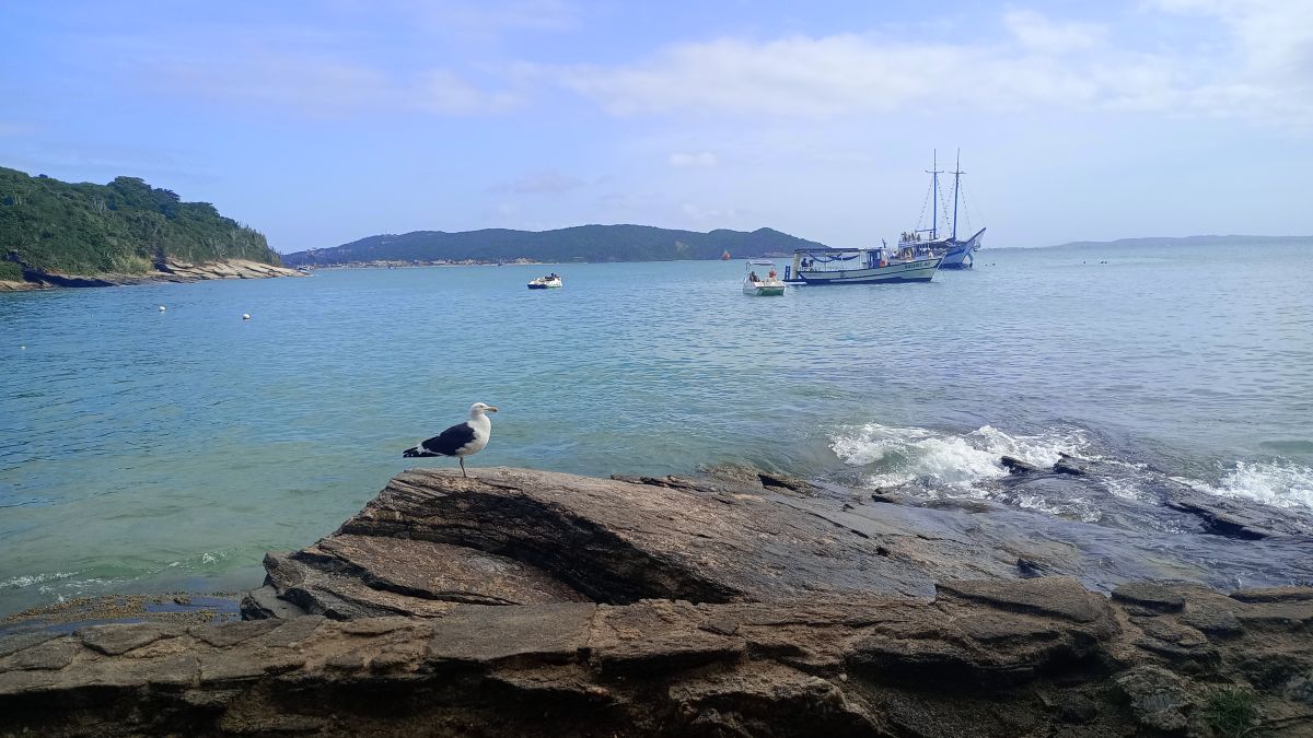 Photographe _Nubes, Photos météo à Praia Azeda - Weawow
