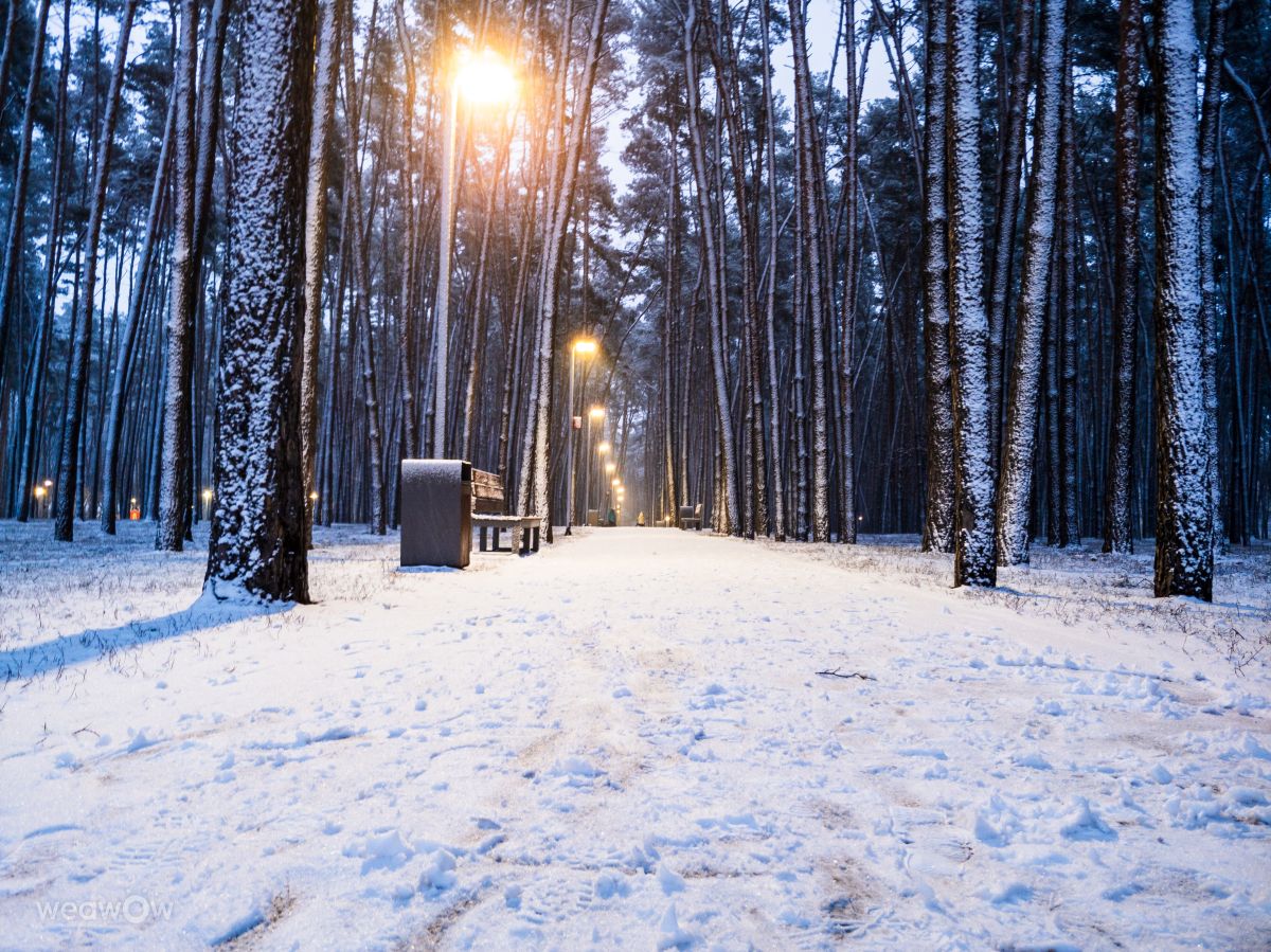 Прогнозы погоды с чудесными фотографиями, сделанными Ilyushov