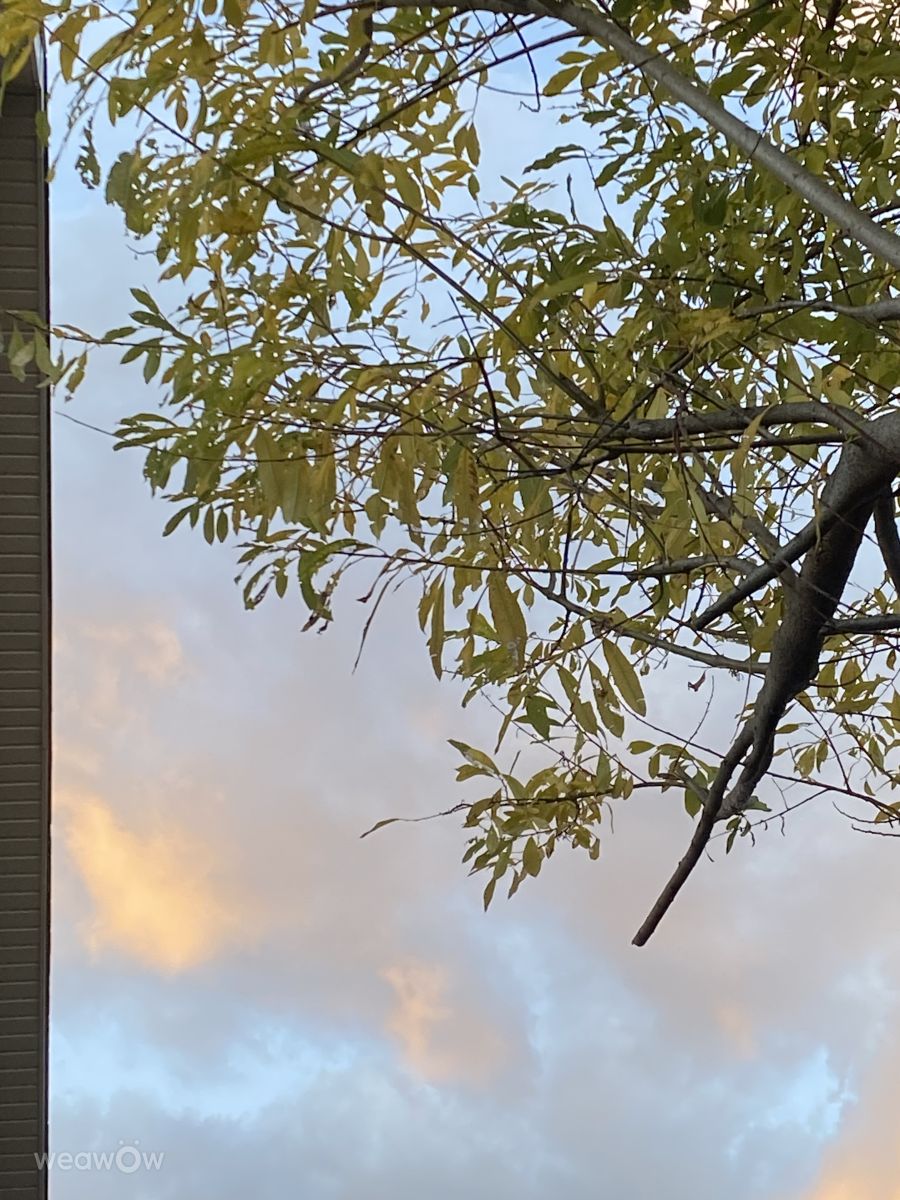 Fotografos Lulu5523, Fotos do tempo em le Plateau - Weawow