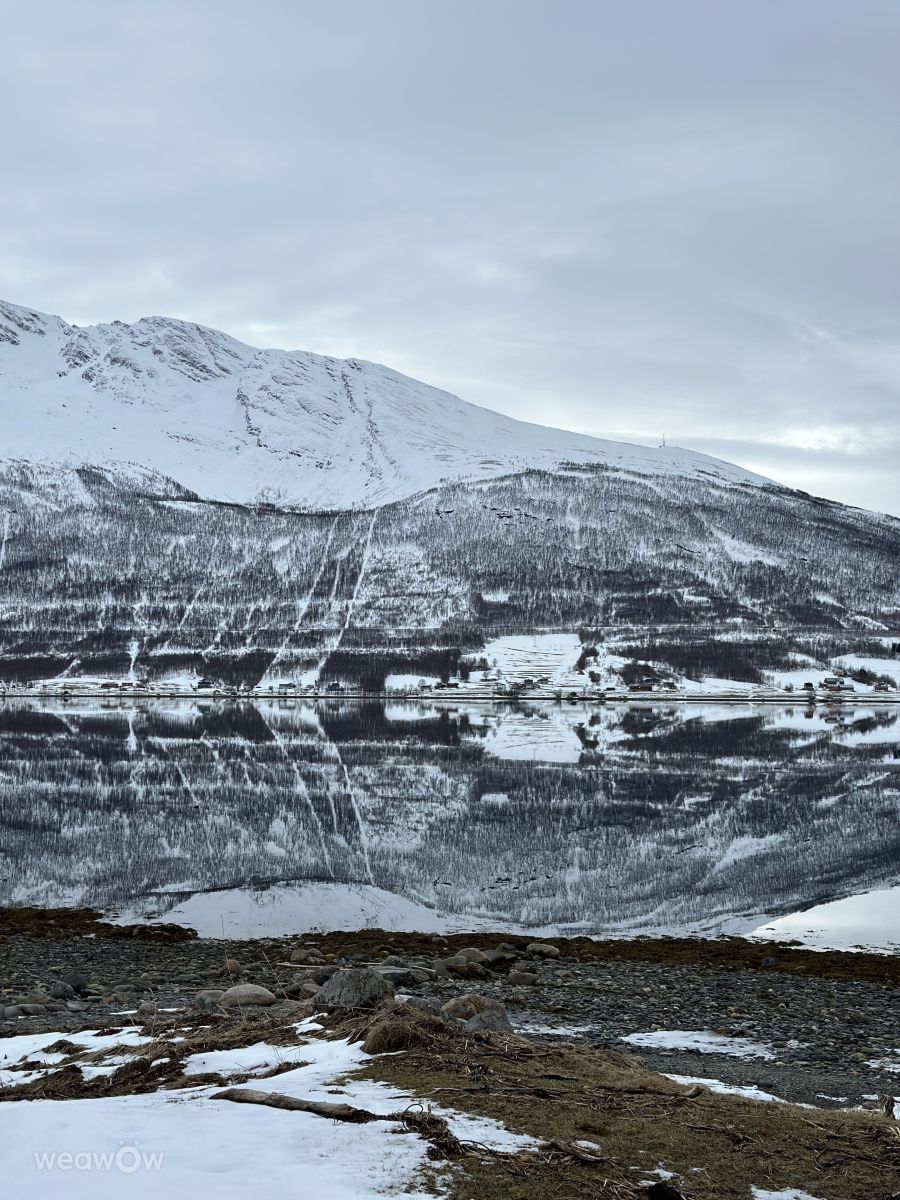 Weather forecasts with beautiful photos by denys8881