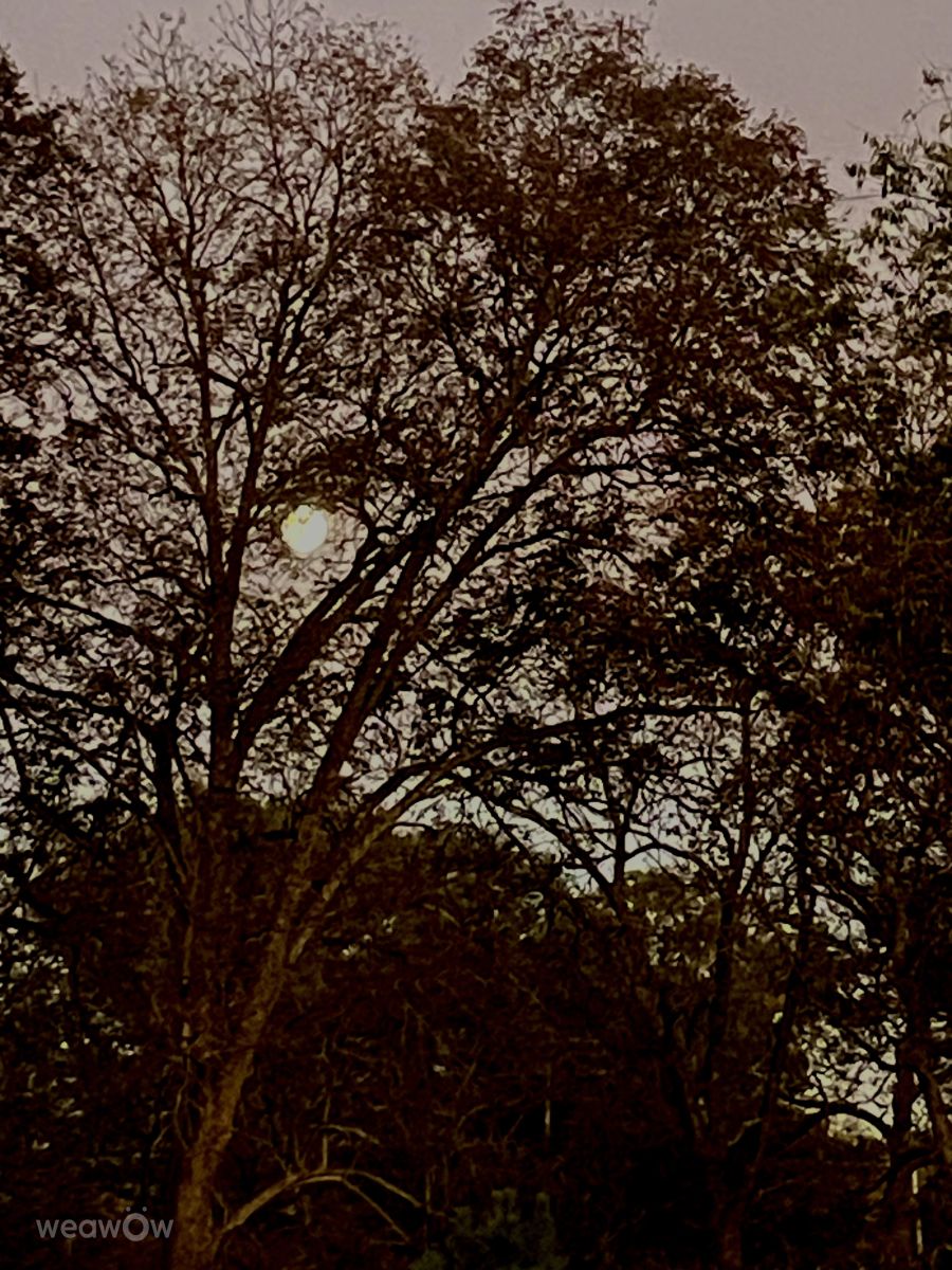 Фотограф Hersheycocoa1122, Фотографии Погоды в Itawamba County - Weawow