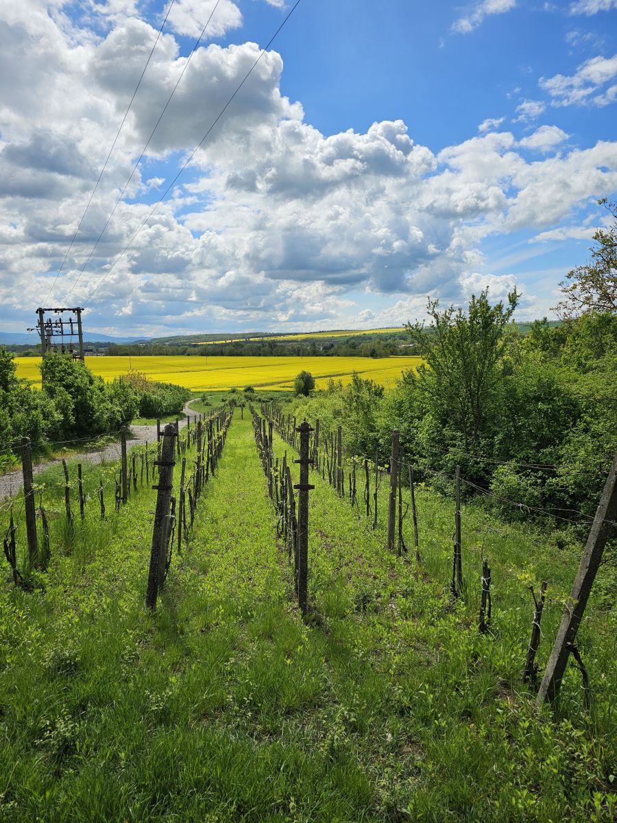 Weather Photos in Slovakia. Weather forecasts with beautiful photos by Roland Tóth