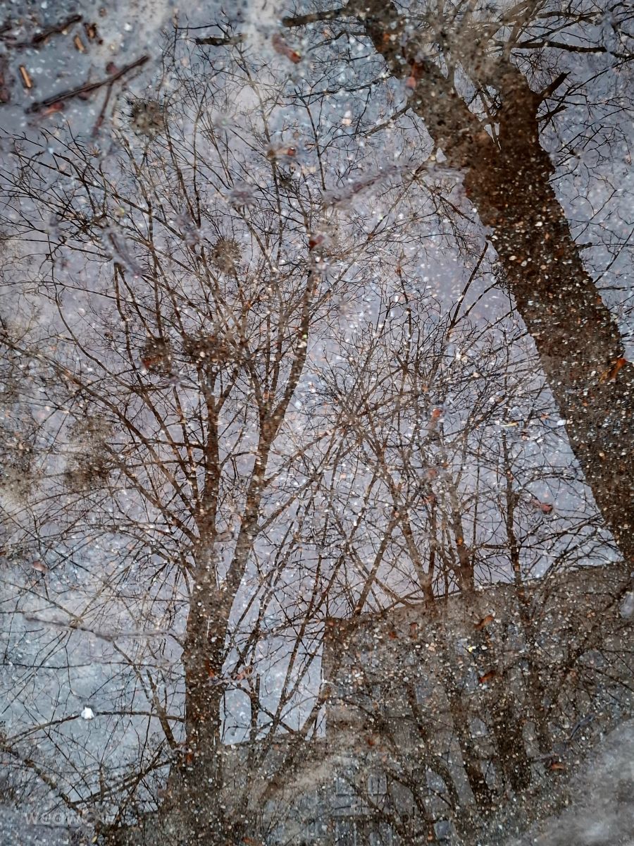 Photographer Iryna, Weather Photos in Kharkiv - Weawow