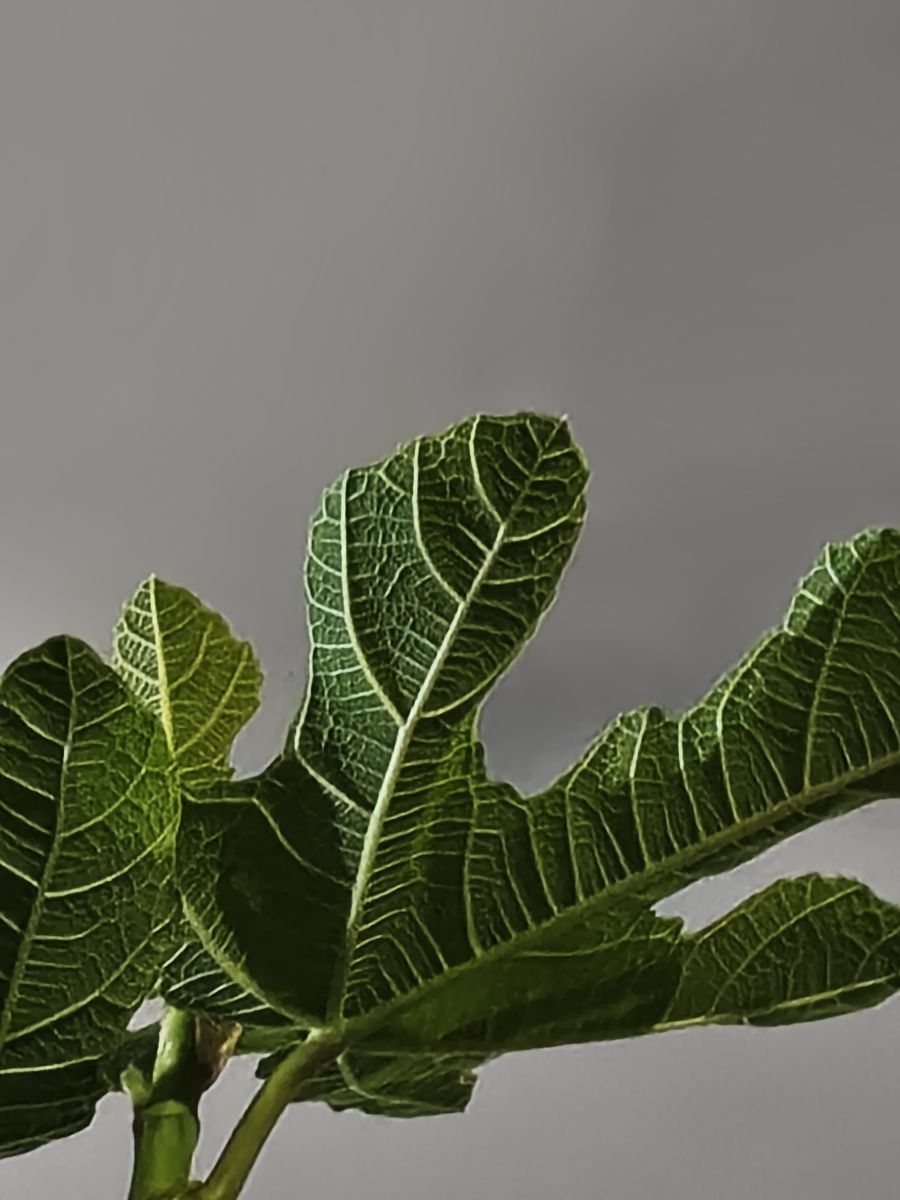 智利的天气照片. 天气预报，带MarioMartínezB精美的照片