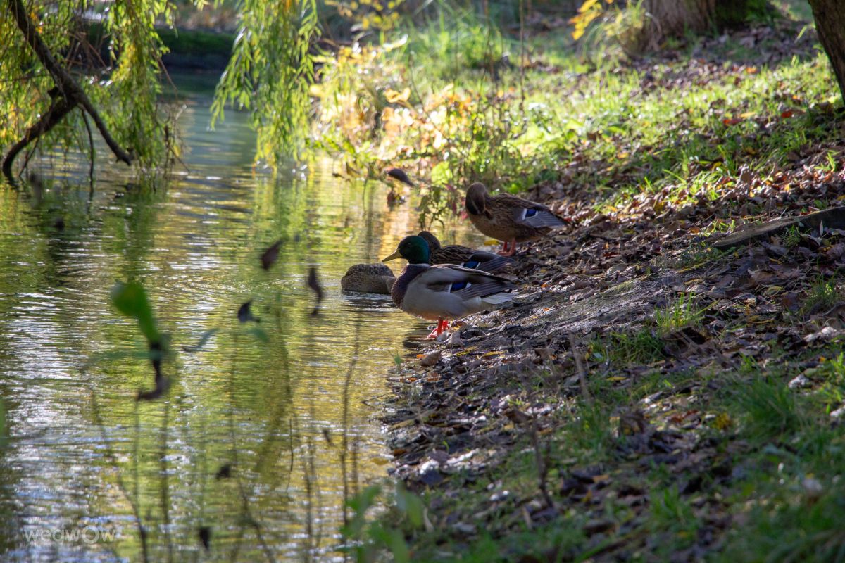 Fotos sobre el clima en Kaliningrado. Pronósticos del tiempo con hermosas fotos de vintilator