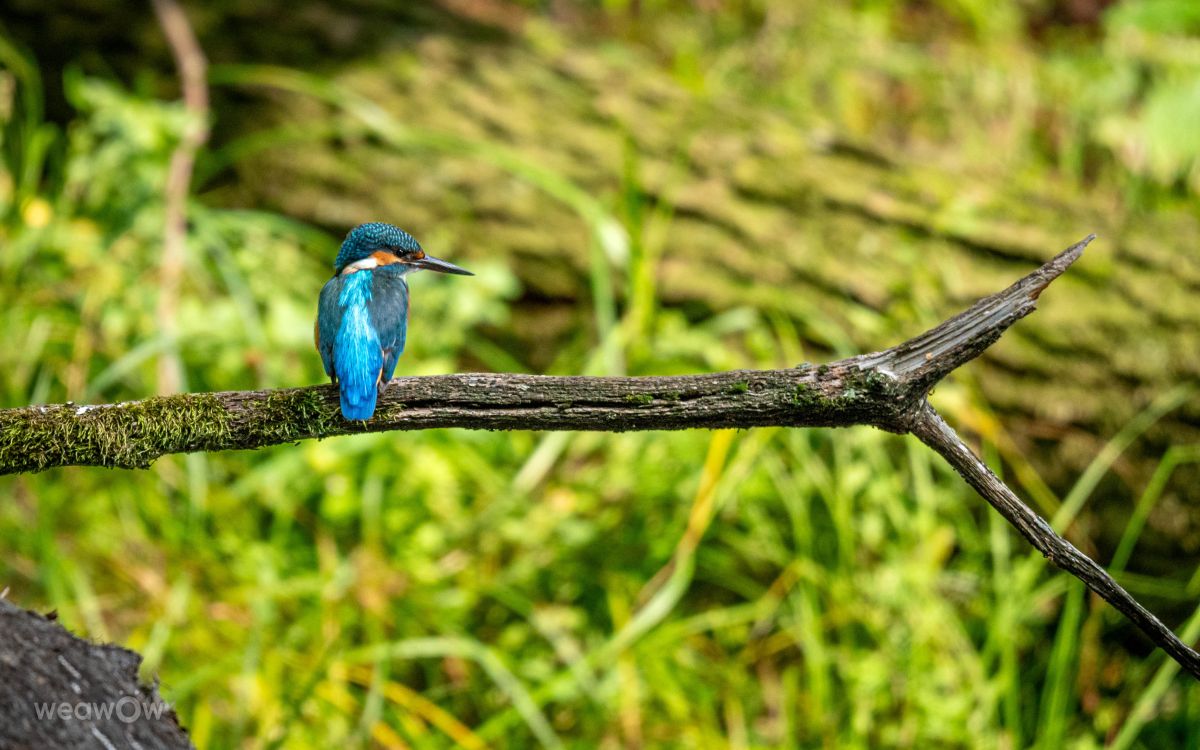 Fotos do tempo em Giżycko. Previsões do tempo com lindas fotos de Grzegorz Jakacki
