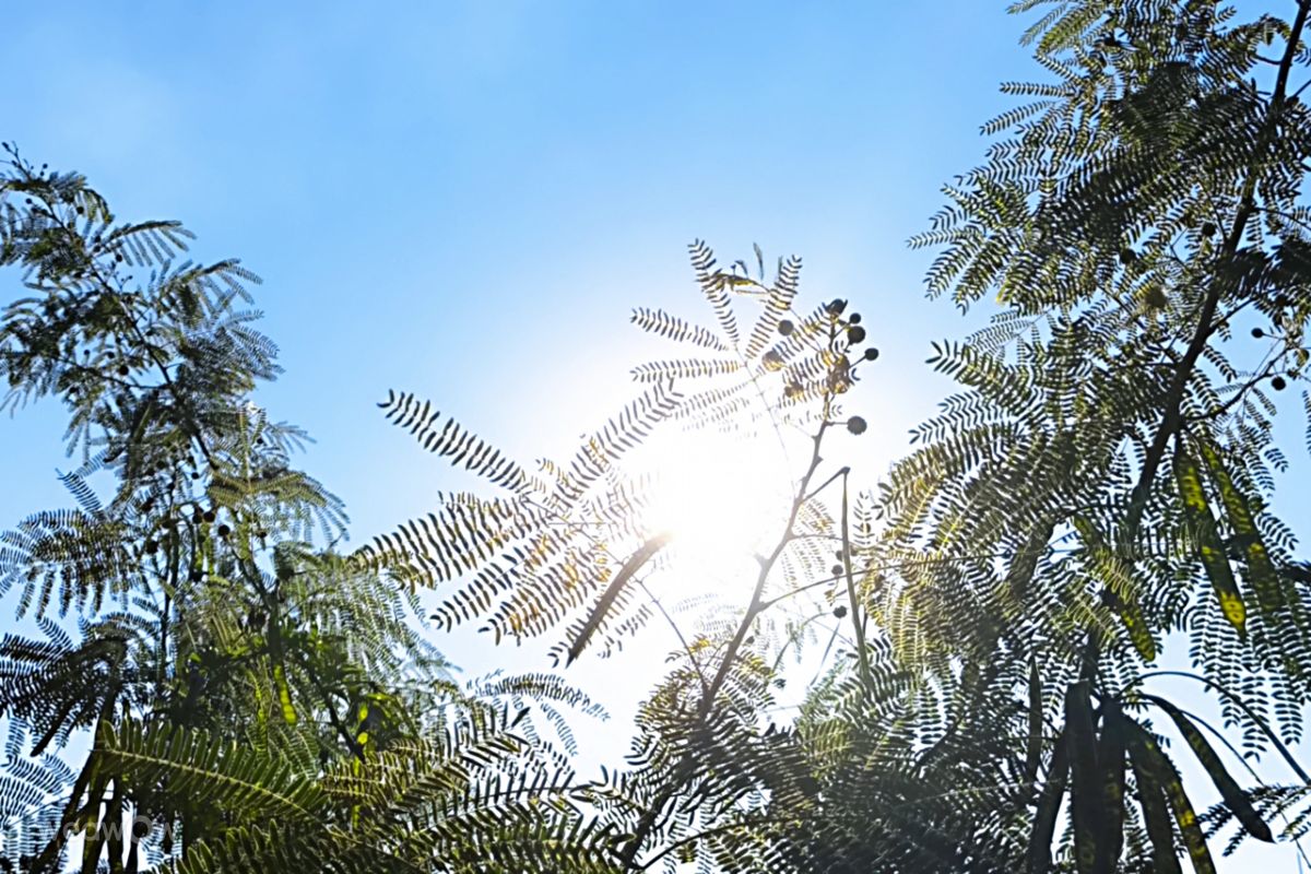 Fotografos Takimi-sky, Fotos do tempo em Urasoe - Weawow