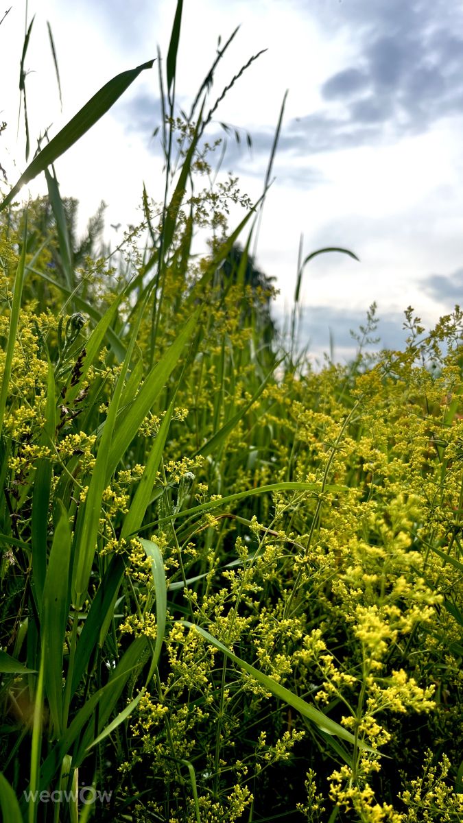 Weather Photos in Minsk. Weather forecasts with beautiful photos by Stassy