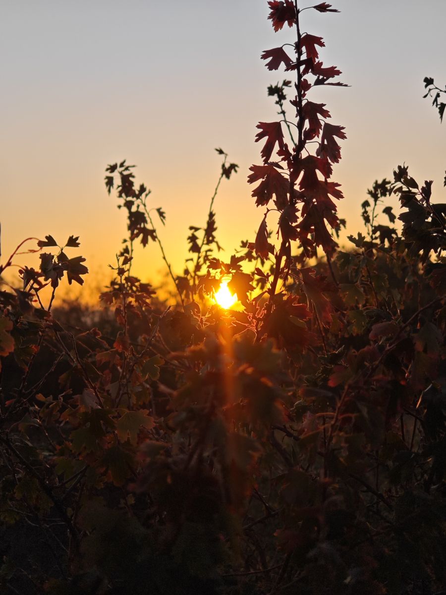 Fotos do tempo em Ucrânia. Previsões do tempo com lindas fotos de Synieok