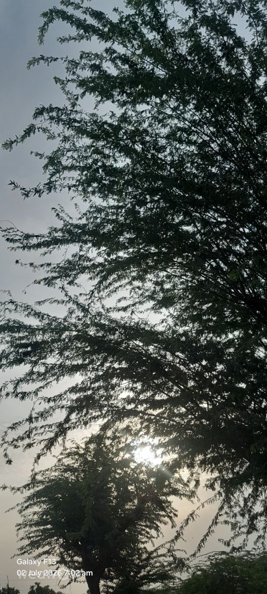 Weather Photos in Rajasthan. Weather forecasts with beautiful photos by Rupa Ram Bawari