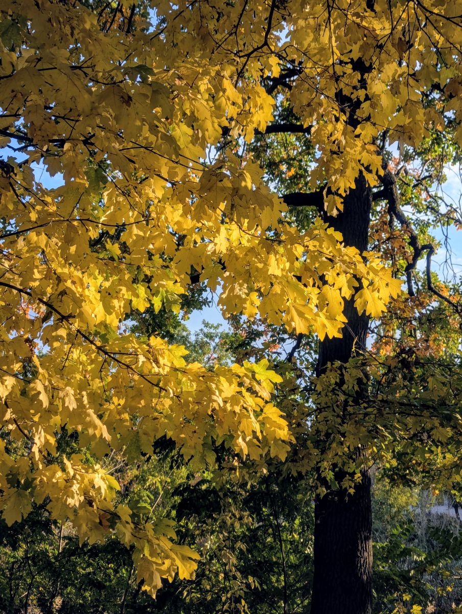 Fotos sobre el clima en Pavlohrad. Pronósticos del tiempo con hermosas fotos de ValeShtefan