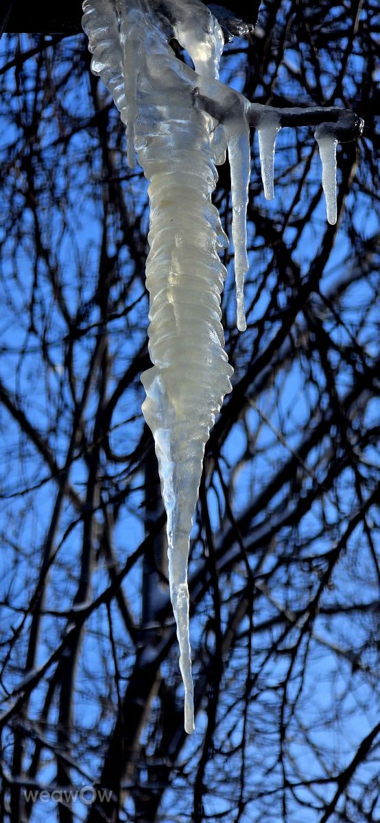 Prévisions météo avec de superbes photos de Mircea