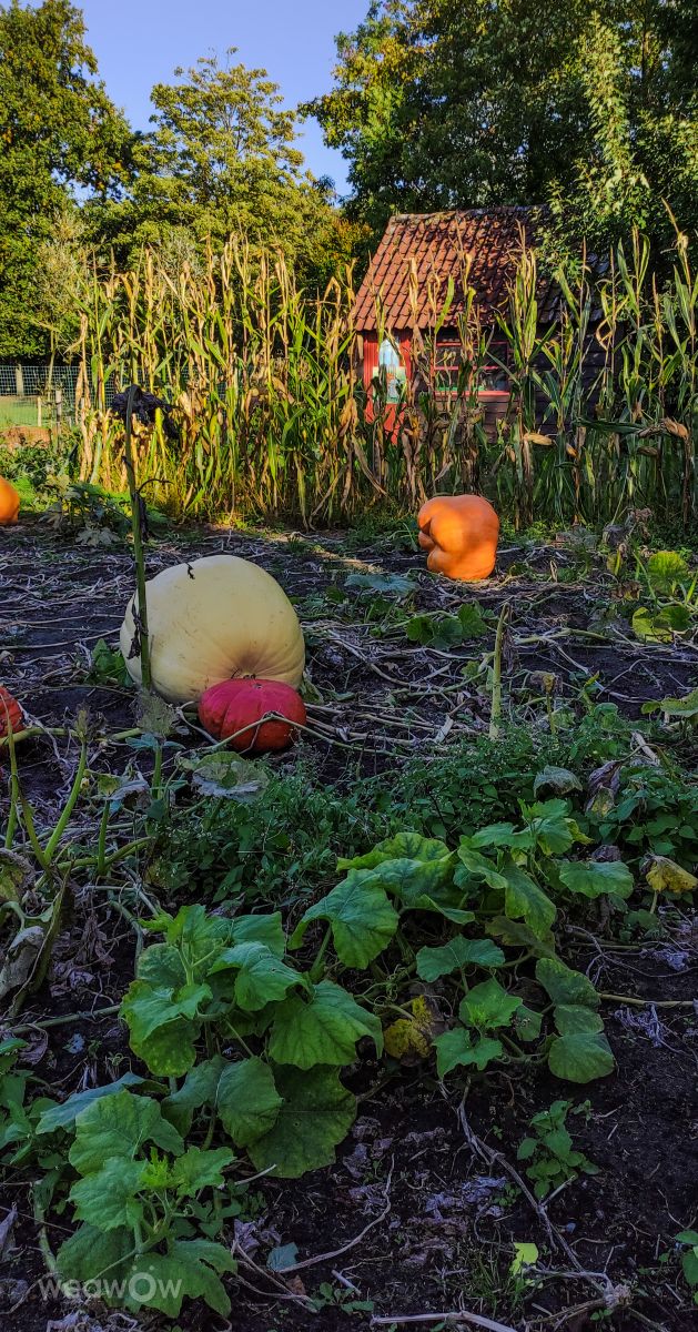 Weather forecasts with beautiful photos by agOost