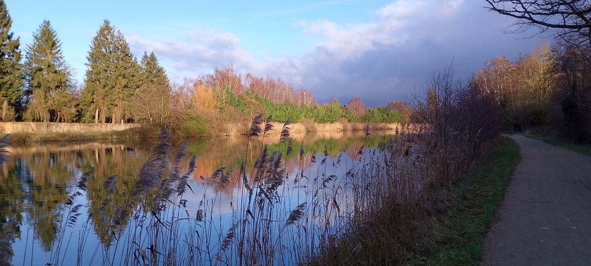 Weather forecasts with beautiful photos by MariePhotos