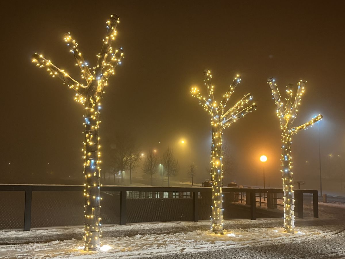 写真家 Jan95、プルジェロフの天気写真 - Weawow