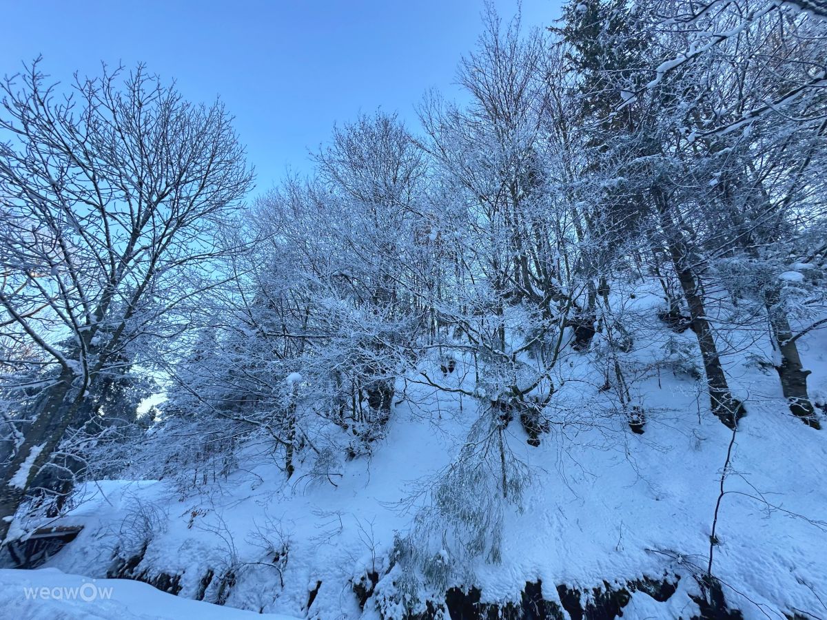 Weather Photos in Transcarpathia. Weather forecasts with beautiful photos by Інна