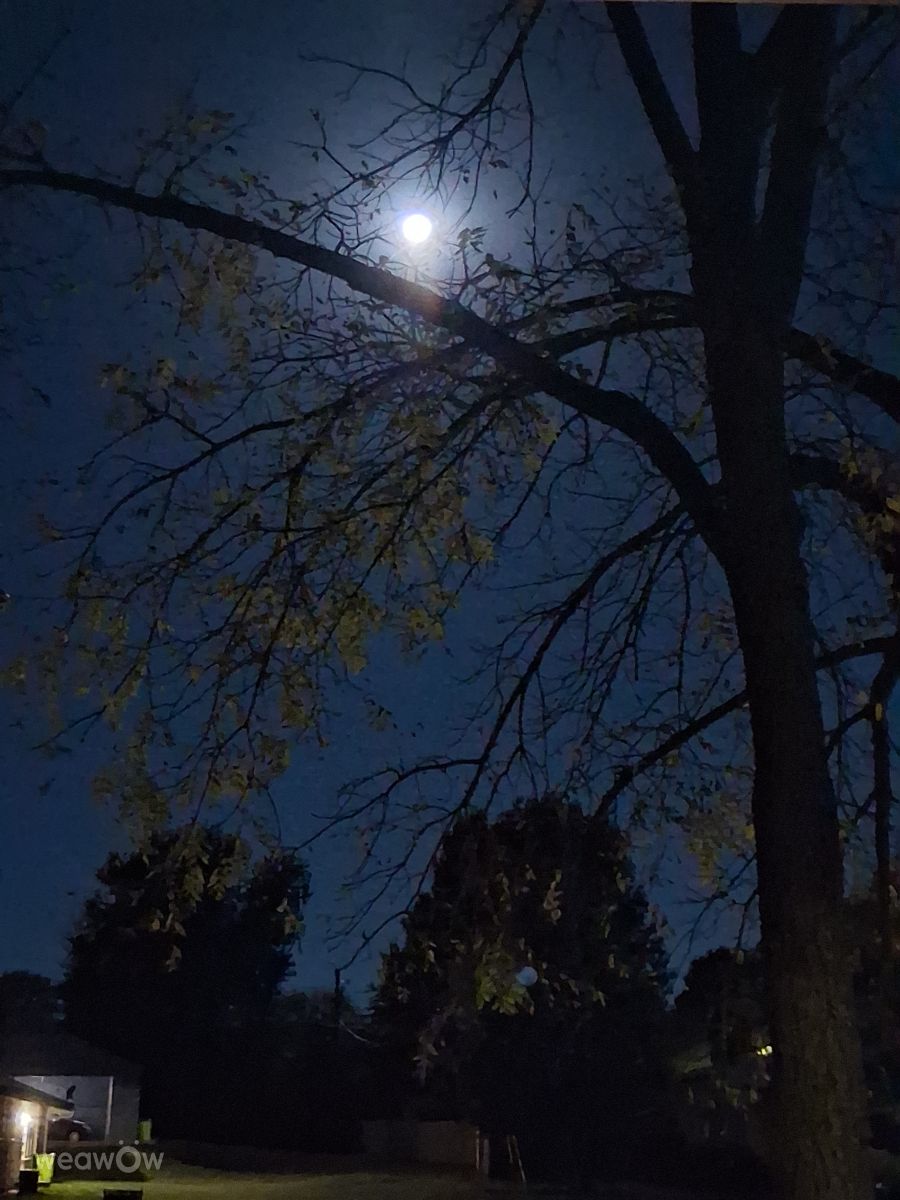 密蘇里州的天气照片. 天气预报，带Sheena Woody精美的照片