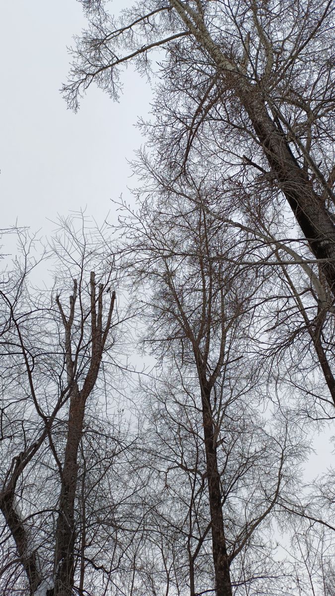 Weather Photos in Novokuznetsk. Weather forecasts with beautiful photos by Михаил Бондаренко