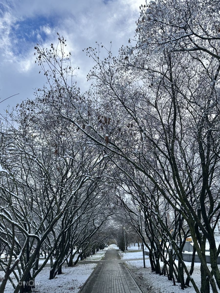 ロシアの天気写真. Rithaの美しい写真による天気予報