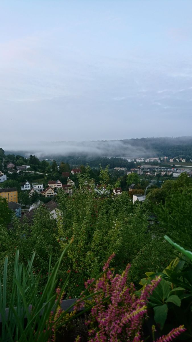 Fotos sobre el clima en Schaffhausen. Pronósticos del tiempo con hermosas fotos de aida-khaldi