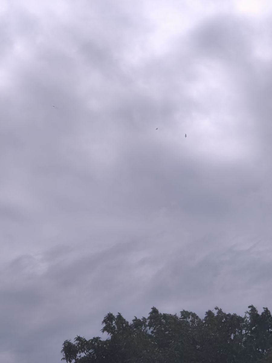 智利的天气照片. 天气预报，带MarioMartínezB精美的照片